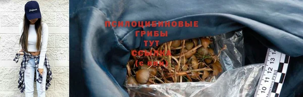 мяу мяу мука Балабаново