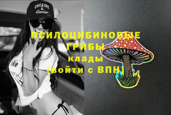 мескалин Баксан